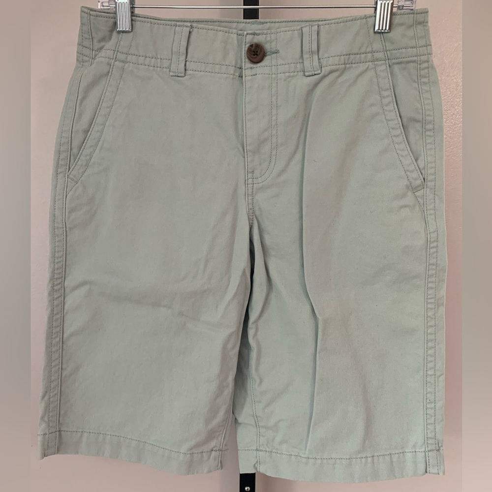 Urban Pipeline Light Green Flat Front Chino Shorts